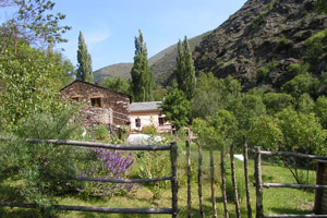 Ayguatébia