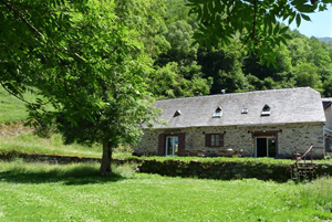 Estaing