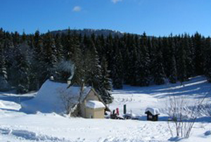 Gève