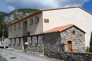Prugnanes