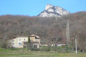 Sao�